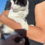Chantal6
